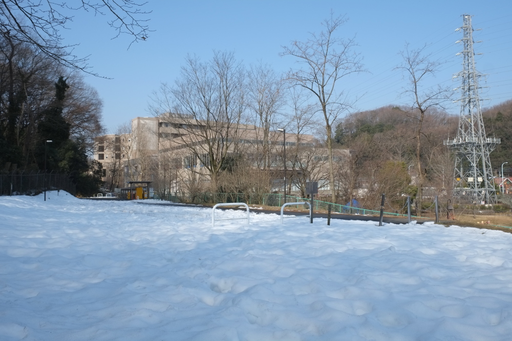 大丸公園 駐車場