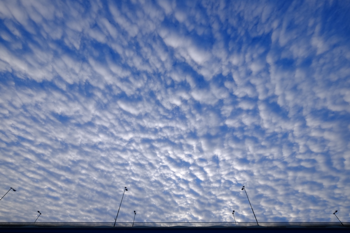 稲城大橋とうろこ雲