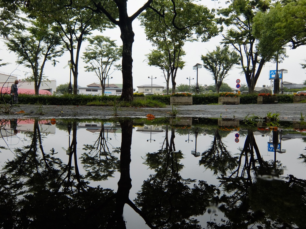 雨上がり