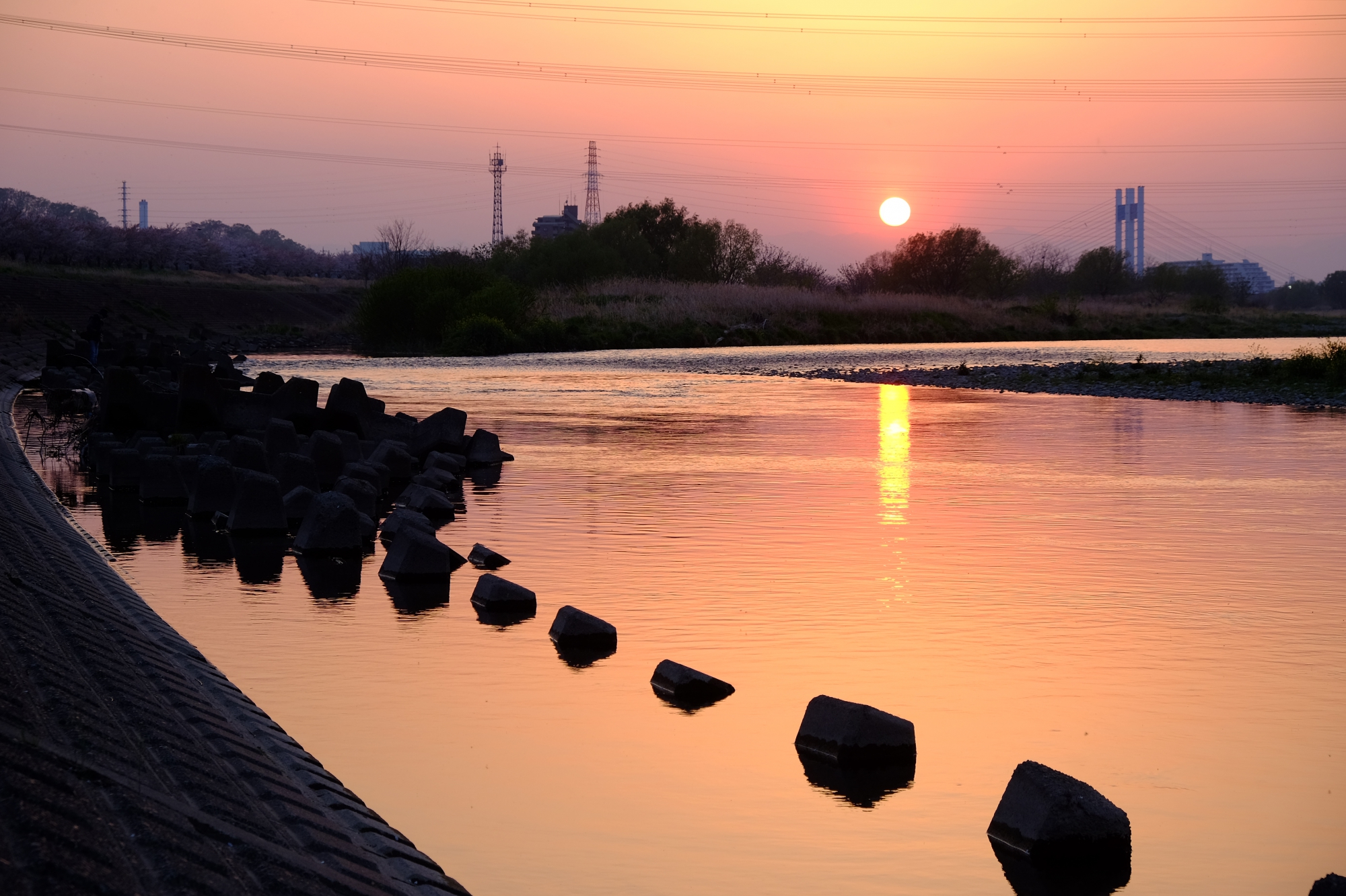 この時期は水面に映る夕陽を見られます