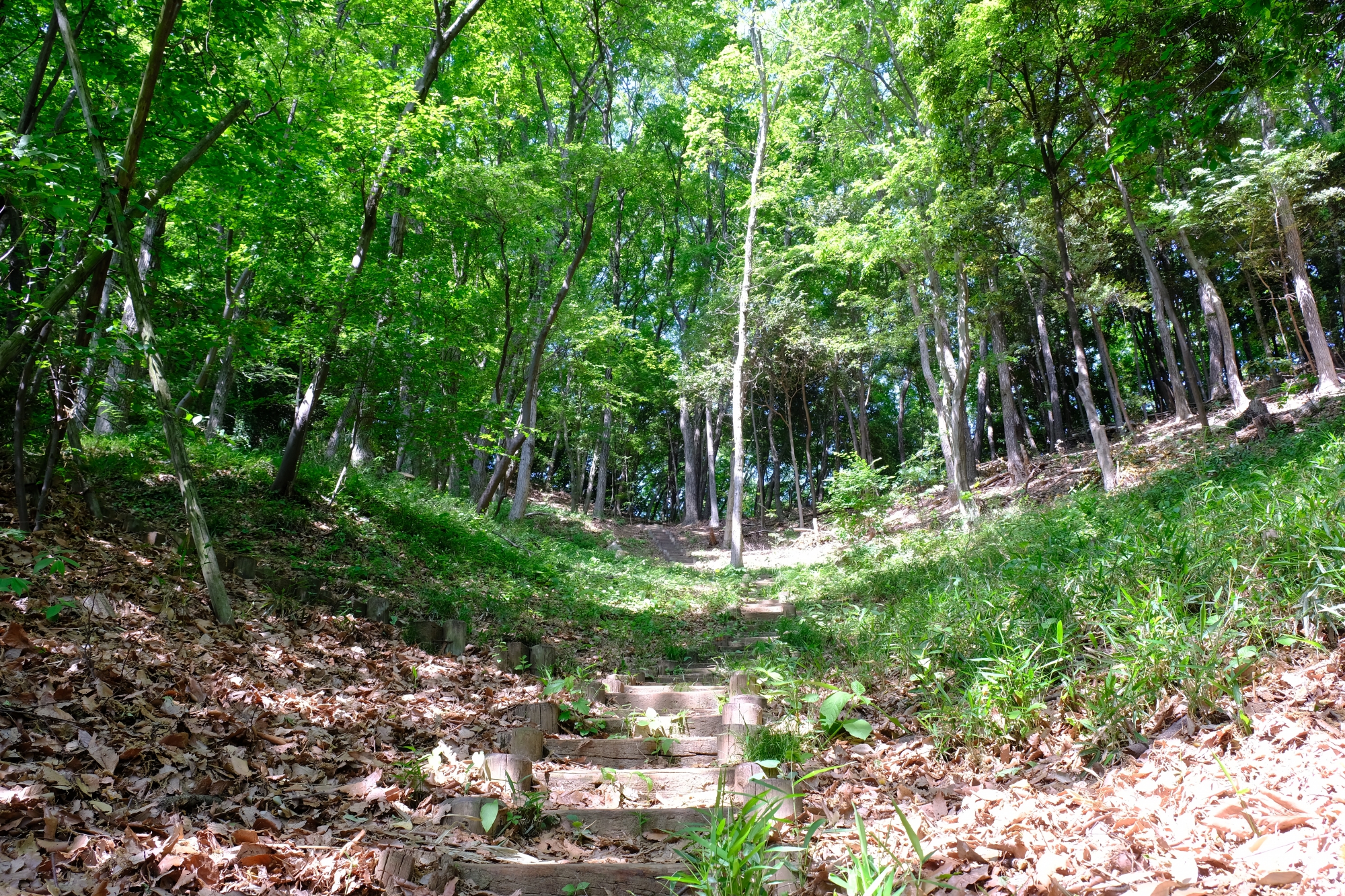 山登り