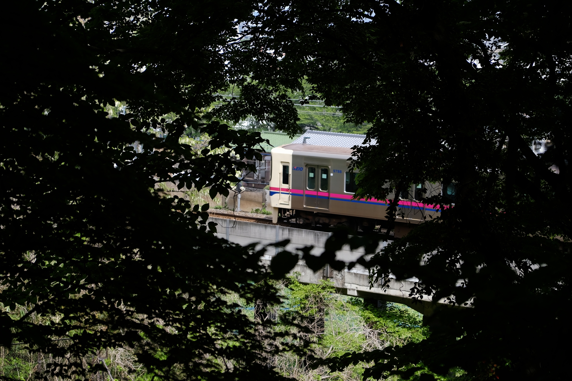 穴澤天神社から見える京王線