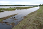 増水した多摩川 北緑地公園付近