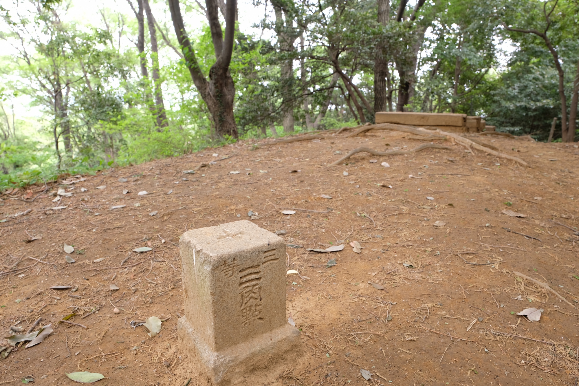 城山公園の三等三角点