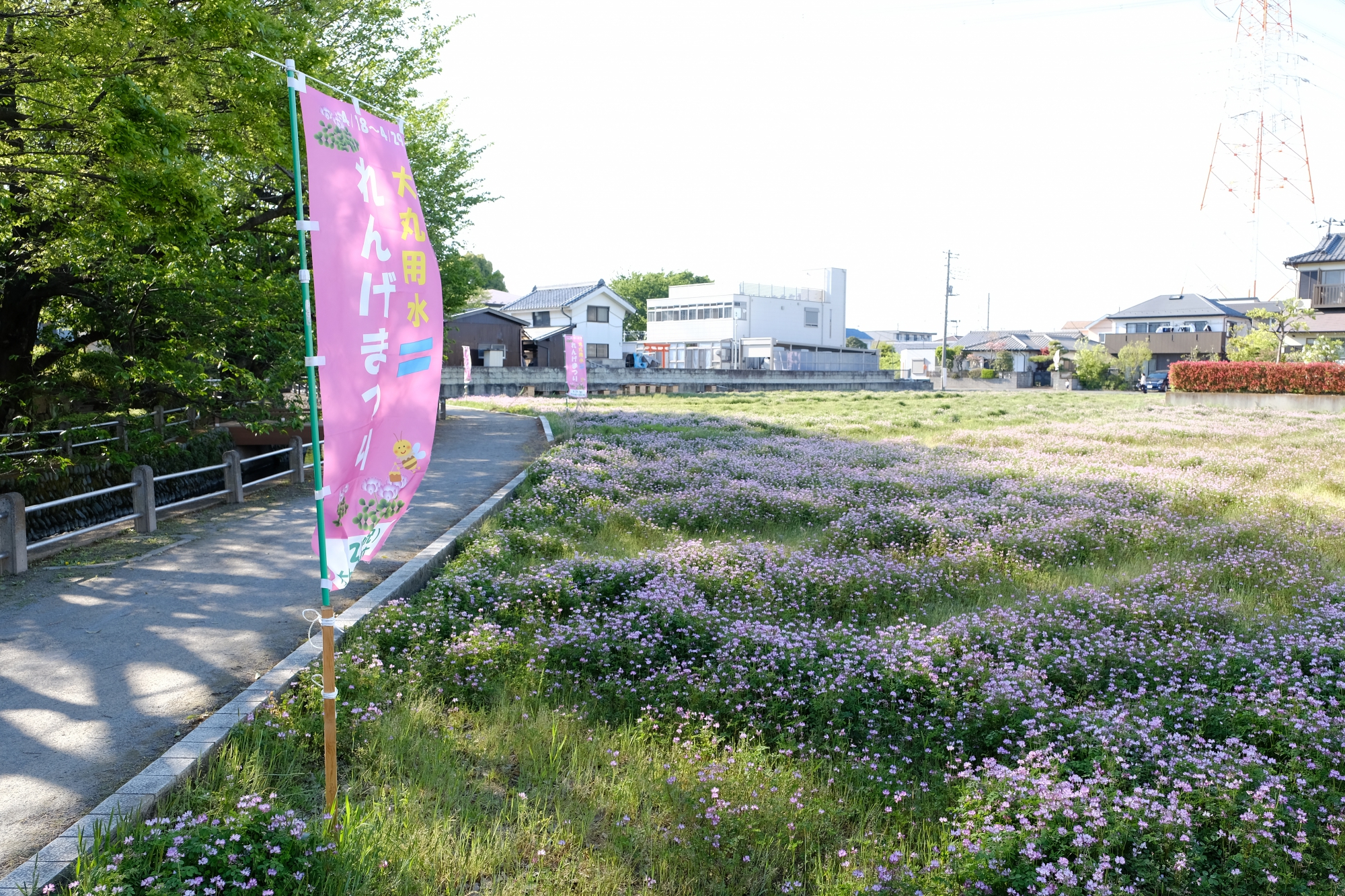 大丸用水れんげまつり