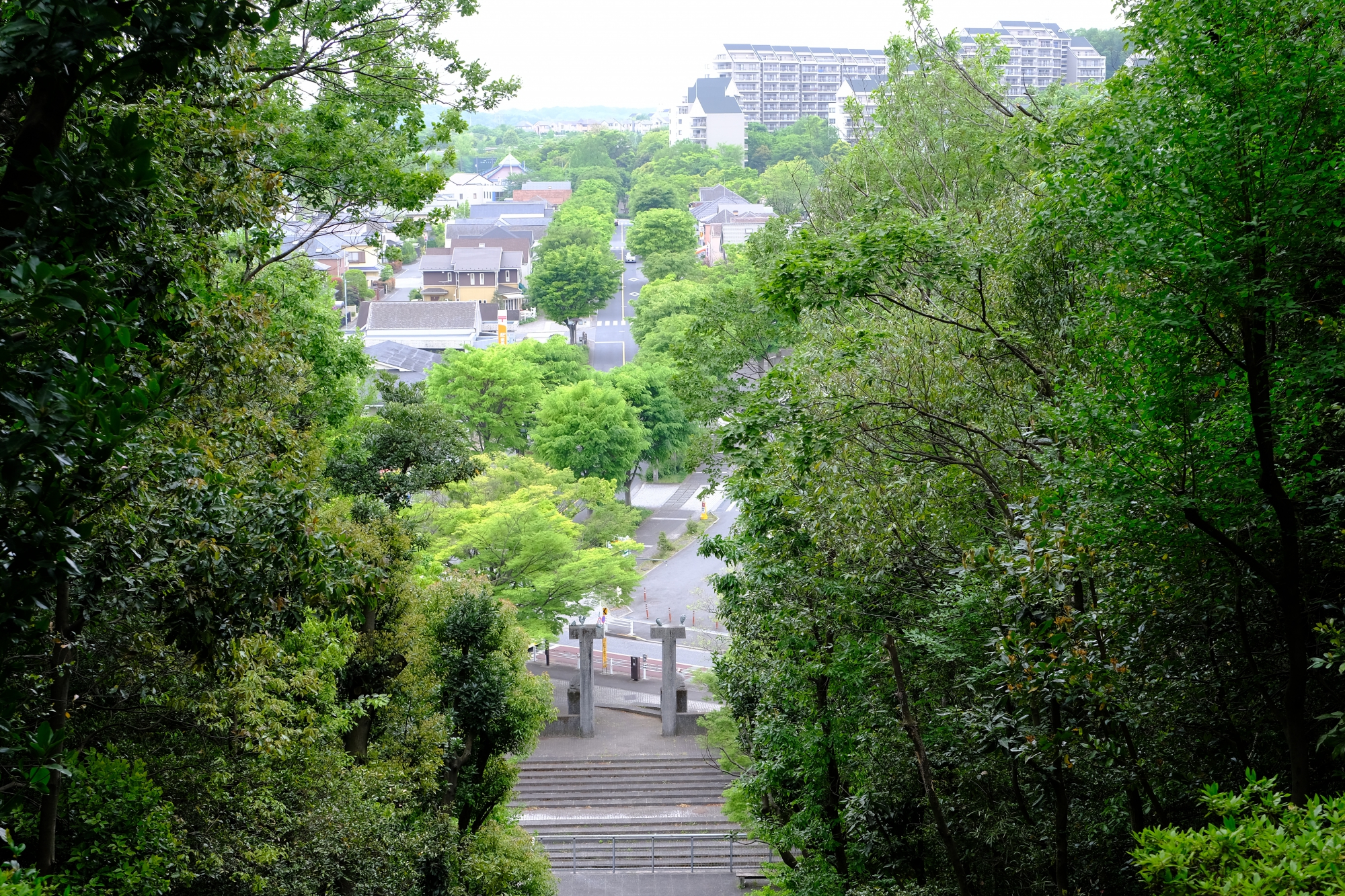 ファインタワー下からの眺め