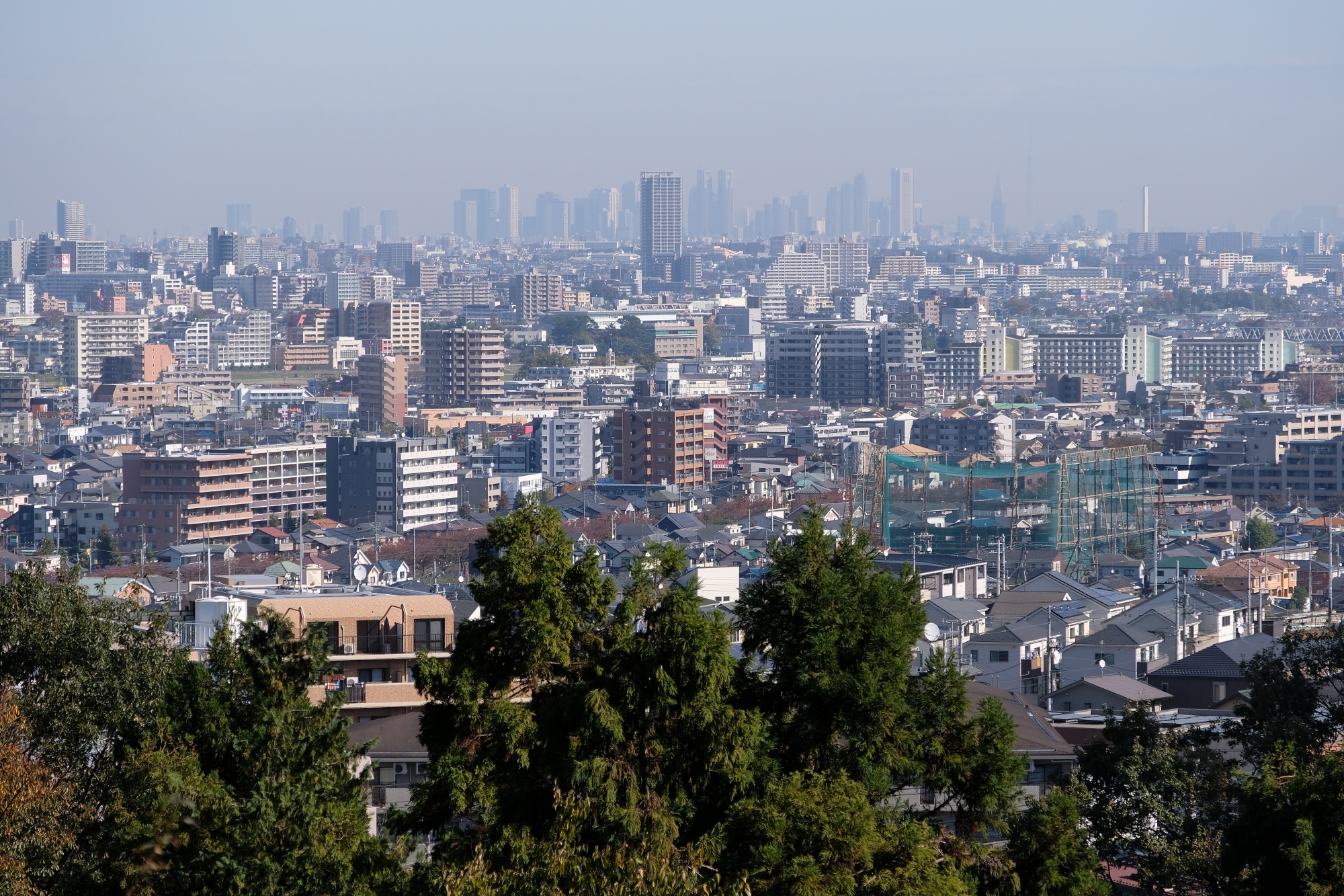 百村の山から望む東京都心