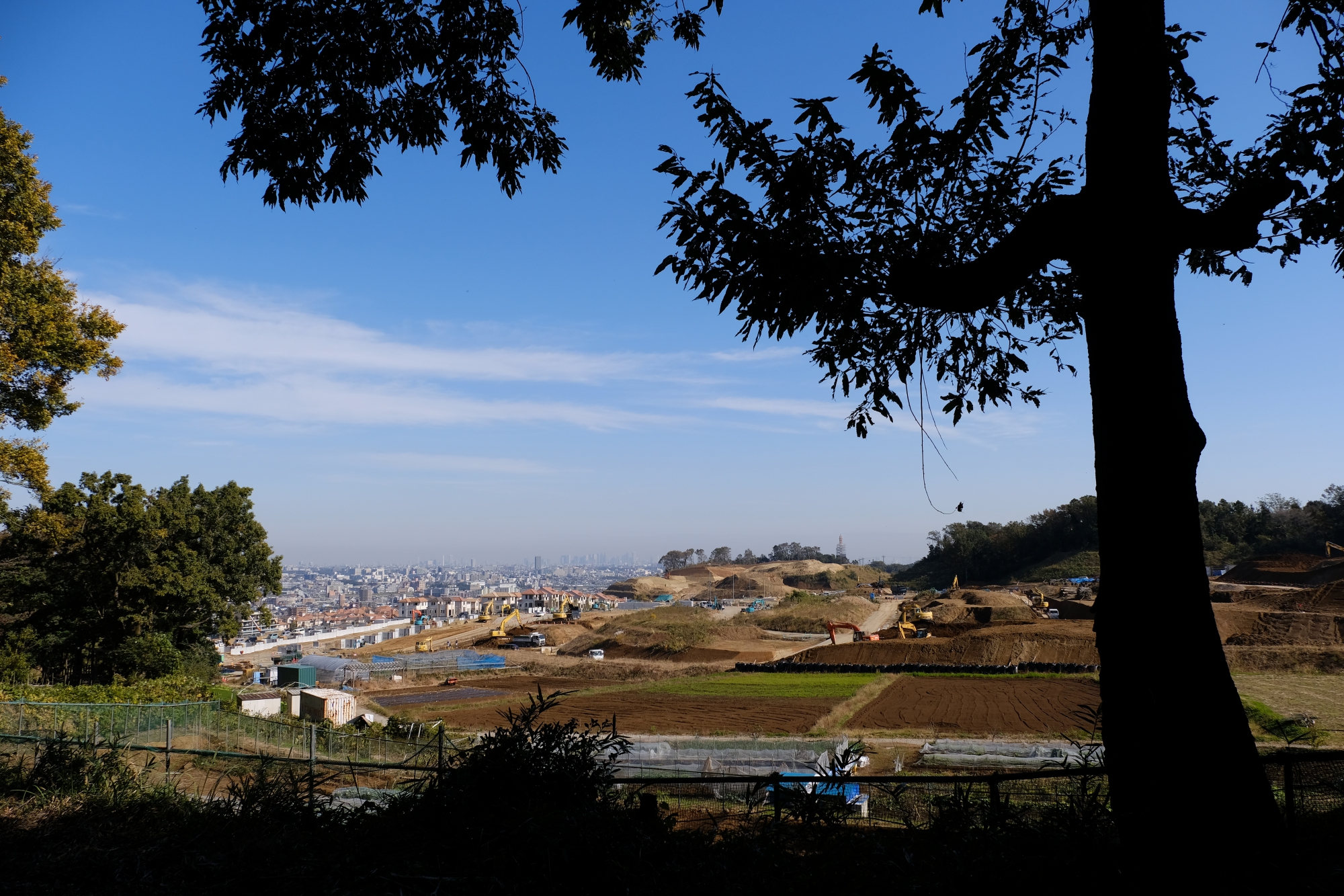 開発中の南山