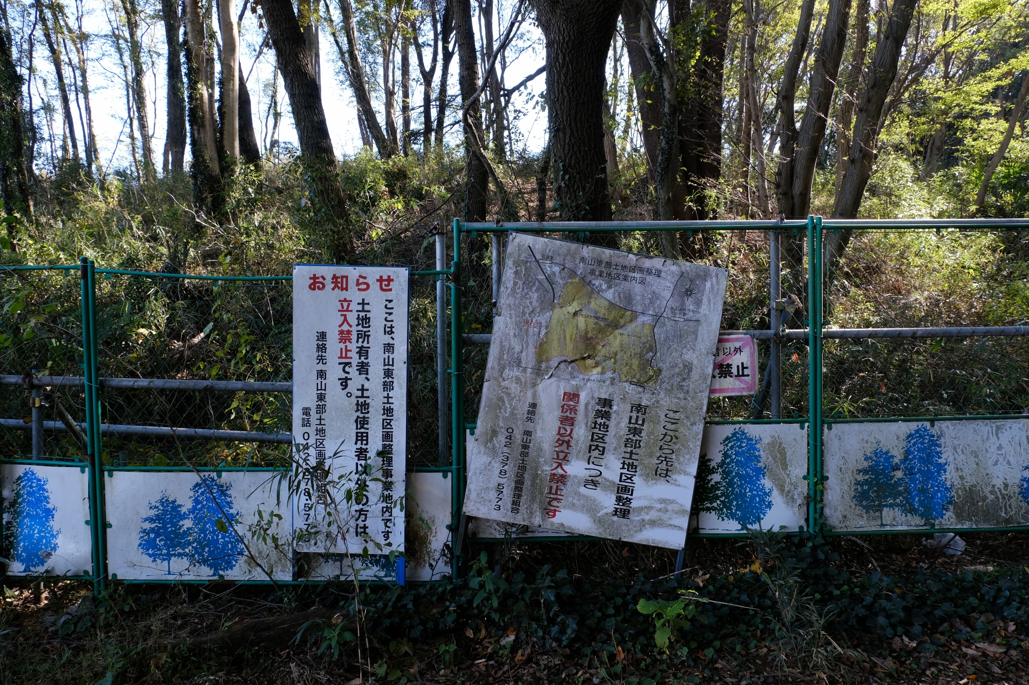 開発中の南山