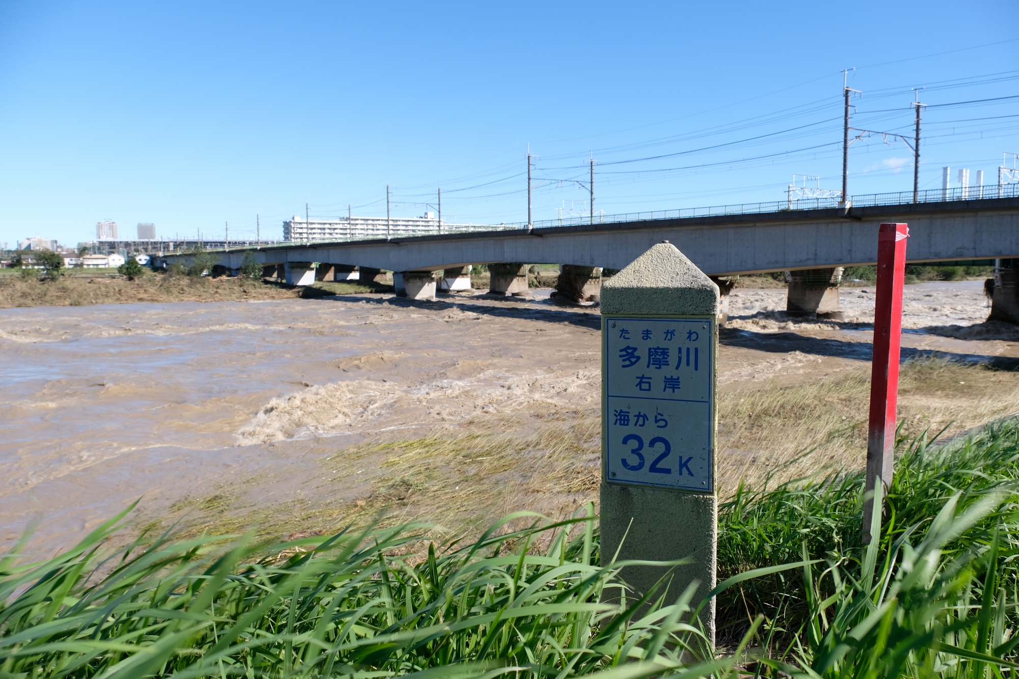 大雨で増水している多摩川