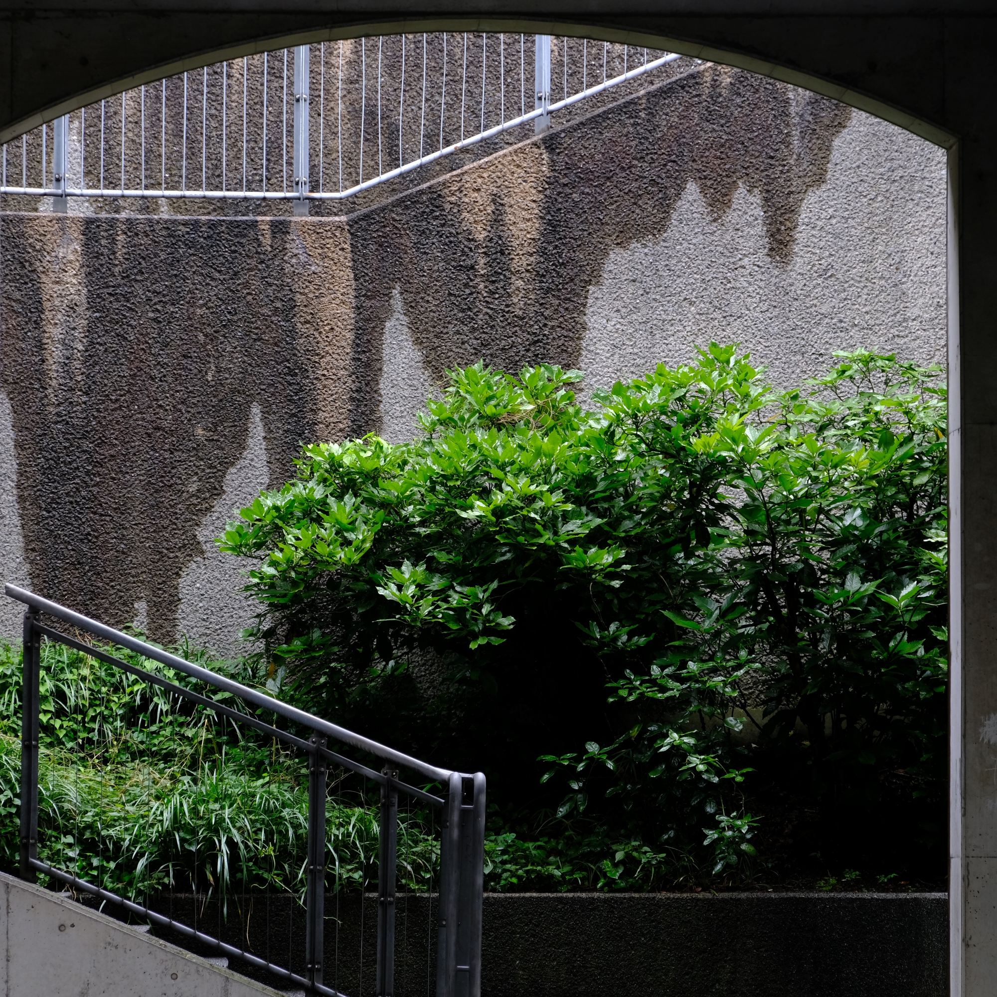 城山公園の階段